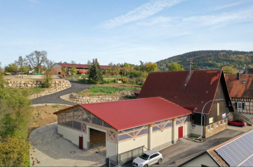 Stallplatz frei in Vöhringen