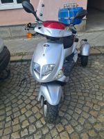 pgo tr3 50 trike mit Papieren Leipzig - Eutritzsch Vorschau