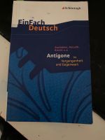 Antigone Buch (Einfach deutsch) Rheinland-Pfalz - Mainz Vorschau