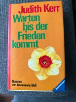 Jugendbuch Warten bis der Frieden kommt München - Bogenhausen Vorschau