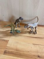 Schleich Dinosaurier einzeln ab 3 Euro oder als Paket Dresden - Leubnitz-Neuostra Vorschau