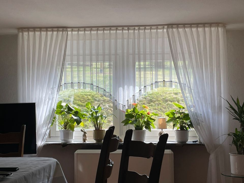 Gardine für Wohnzimmer in Netphen