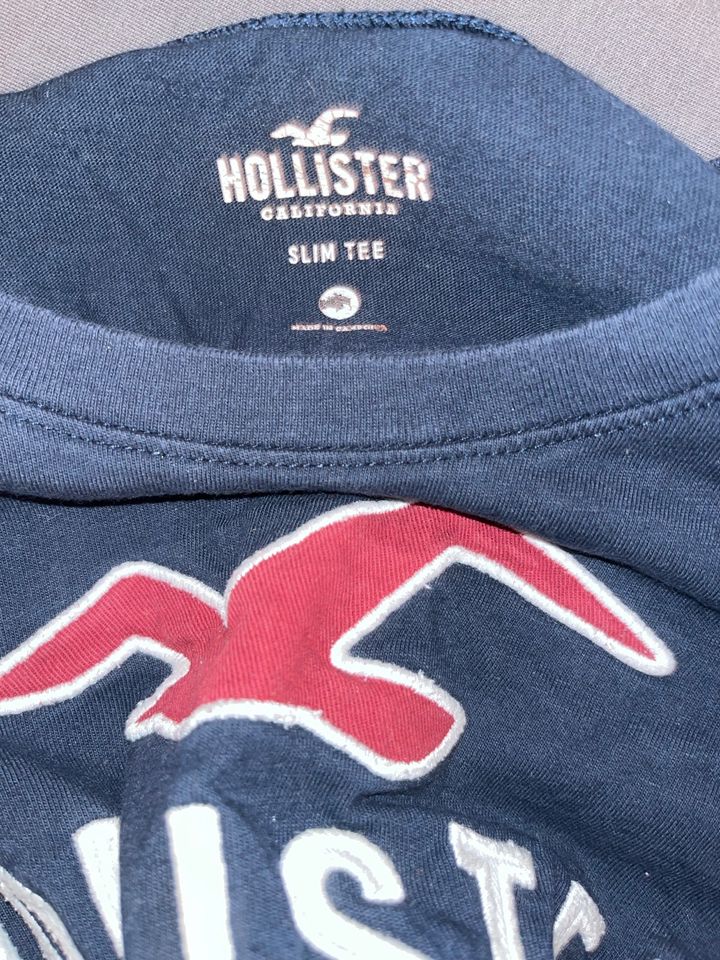 Hollister Sweatshirt in Tittling