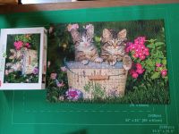 Puzzle Katzen 1000 Teile Rheinland-Pfalz - Bernkastel-Kues Vorschau