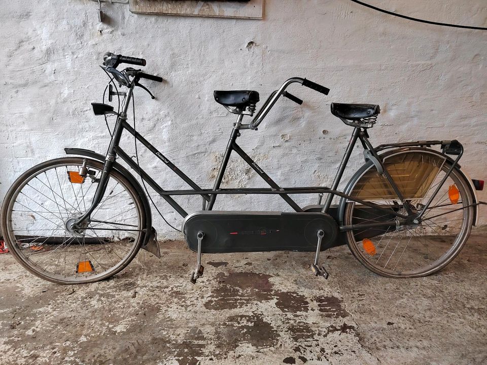 4 X Tandem Fahrräder zusammen für 400€ in Lübeck