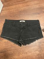 Hollister Hose Damen Duisburg - Walsum Vorschau