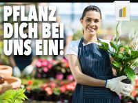 Kommissionierer (m/w/d) für die Tabakverarbeitung in Vollzeit mit Hamburg - Harburg Vorschau