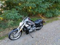 Harley Davidson VRSCR Street Rod Sachsen-Anhalt - Lutherstadt Wittenberg Vorschau