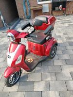 Rolektro E- Trike Senioren Scooter Seniorenmobil Niedersachsen - Katlenburg-Lindau Vorschau