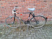 Hercules Fahrrad Niedersachsen - Zeven Vorschau