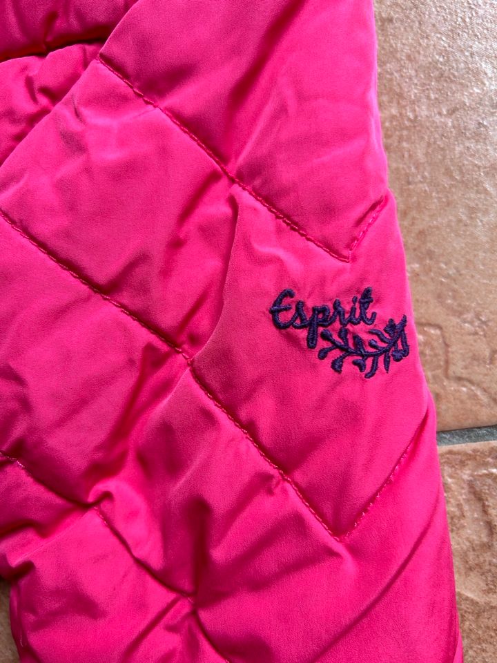 Esprit Winterjacke Wintermantel Gr.116 pink sehr gut in Teltow