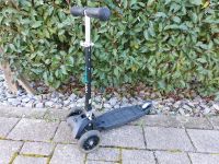 Roller Fun Pro ONE 1 mit Blinkerädern Baden-Württemberg - Bruchsal Vorschau