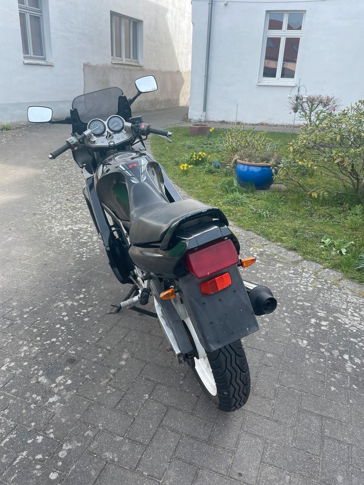 Suzuki GS 500 E in Neustrelitz