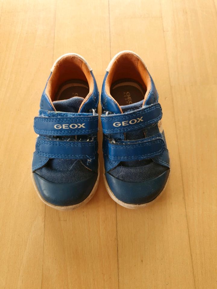 Schuhe Kinder Baby Geox Größe 20 in Glinde