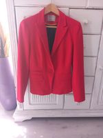 Blazer Orsay Sachsen-Anhalt - Genthin Vorschau