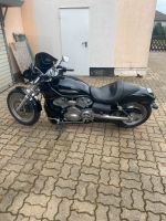 Harley Davidson V Rod Top Zustand Bad Doberan - Landkreis - Elmenhorst/Lichtenhagen Vorschau
