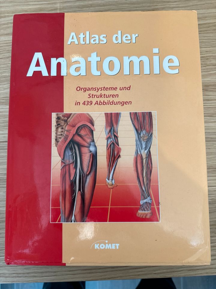 Atlas der Anatomie in Beratzhausen