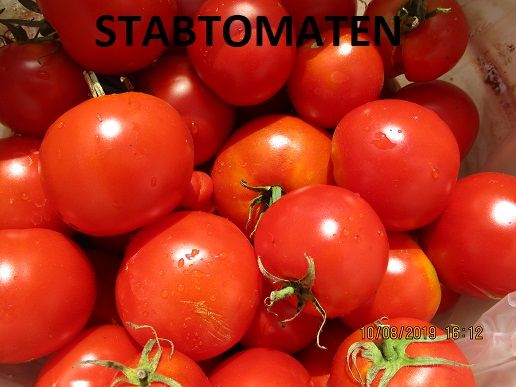 Tomatensamen  Teil 4 № 61-74 beste Tomatensamen und Sorten in Kleinheubach