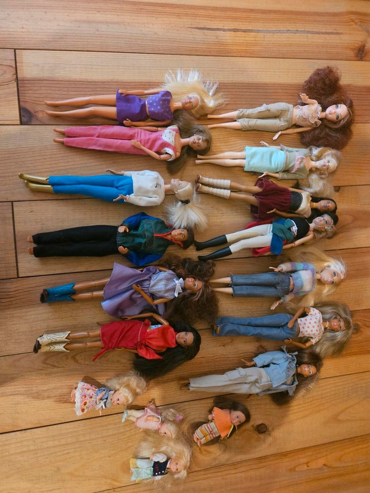 Barbie Puppen und diverses Zubehör in Titz