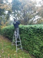 Gartenarbeit zum Festpreis Hecke Wurzeln Bäume Büsche Entsorgung Niedersachsen - Cuxhaven Vorschau