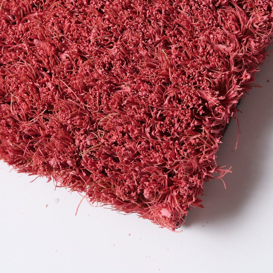 Elegante Fußmatte 'Love' in Rot mit stilvollem Schriftzug in Gladbeck