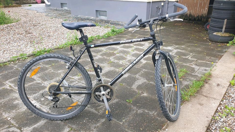 Fahrrad MTB 26" in Alsheim