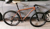 Brother Cycles Big Bro Carbon LRS Newmen Salsa Gravel DTSWISS 29 Hessen - Bad Homburg Vorschau