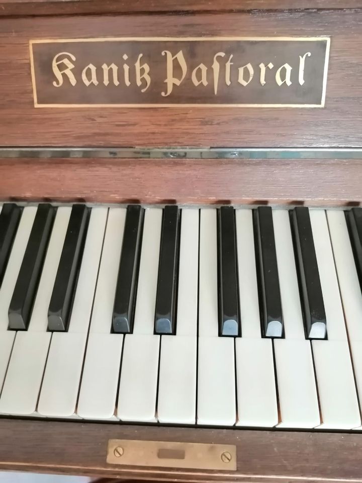 Klavier von Kanitz in Oberndorf am Neckar
