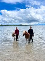 Ponyclub / Reiten für Kinder Bayern - Fürstenfeldbruck Vorschau