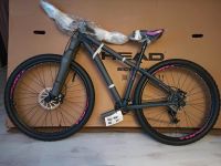 Damen/Mädchen Mountainbike 29"/42cm von HEAD Bayern - Großostheim Vorschau