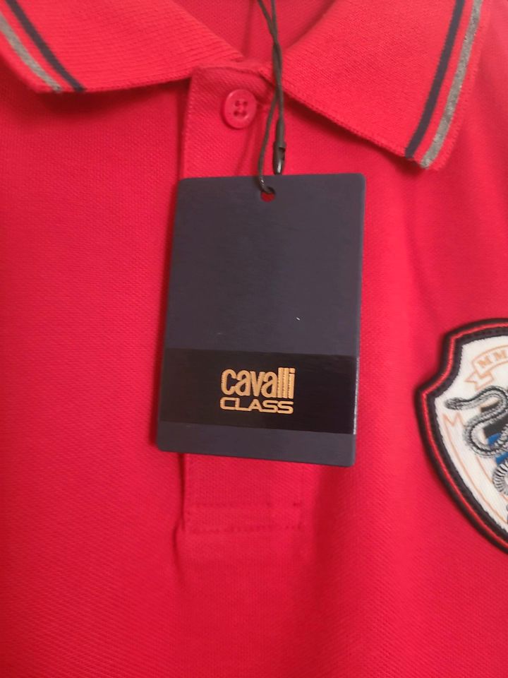 Poloshirt cavalli class Neu in Stendal