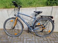 Svelta Techno Bike 28" Rheinland-Pfalz - Niederzissen Vorschau