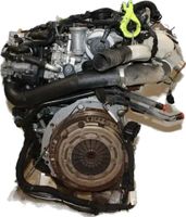 Motor Audi/Seat/Skoda/VW 1.6 TDI CRKB 81 KW 110 PS 81 TKM Leipzig - Gohlis-Mitte Vorschau