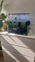 Sera Aquarium 40x40 all Inclusive Bayern - Kleinostheim Vorschau