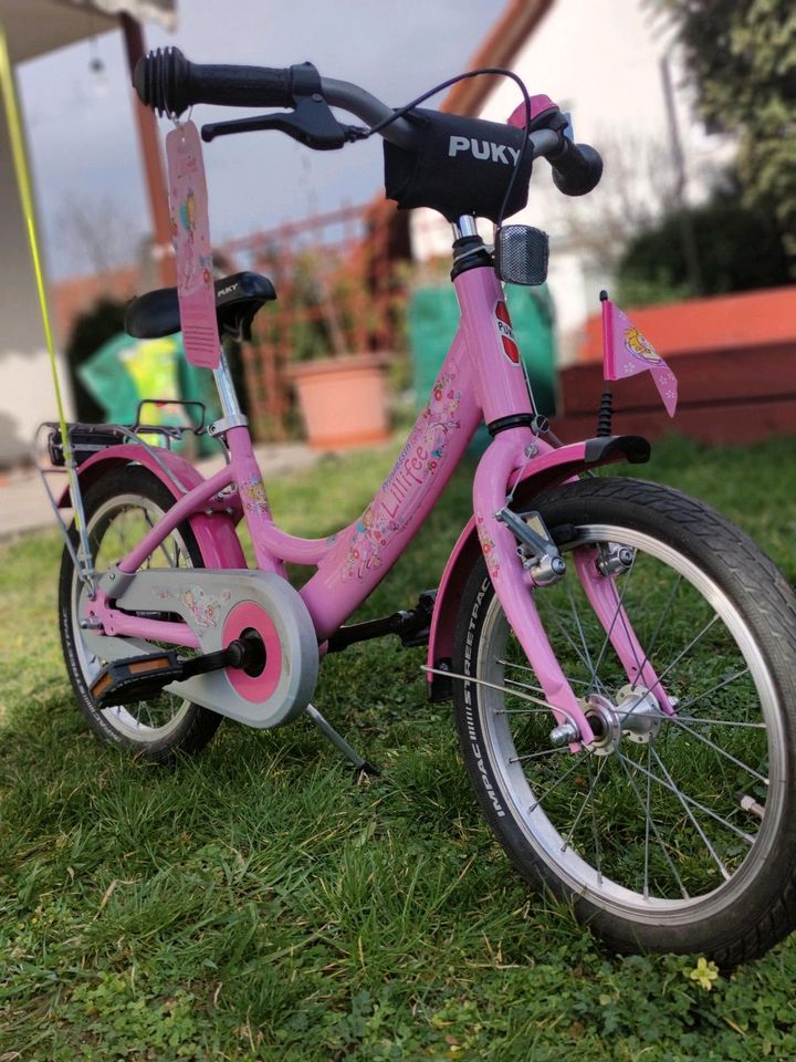 16" Puky Lillifee Kinderfahrrad in Kallstadt