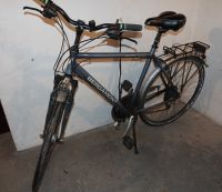 Trekking Fahrrad Bergamont Sponsor 1.9 28 Zoll Dortmund - Löttringhausen Vorschau