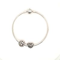 Pandora Armreif Silber 925 2 Chams Herzen 60mm Geschenk 180163 Schleswig-Holstein - Norderstedt Vorschau