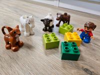 ❤️ Lego Duplo 5646 Tierbabys auf dem Bauernhof Tiere komplett Rheinland-Pfalz - Gundersheim Vorschau