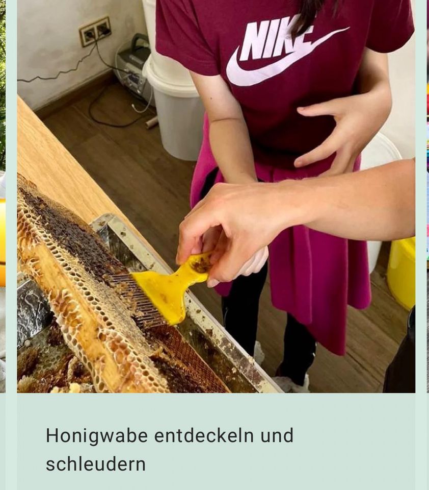 Kindergeburtstag in unserer Imkerei:  Bienen & Honig in Bad Honnef