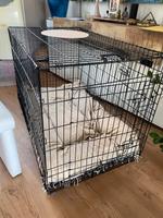 Hundebox zweitürig Saarbrücken-Dudweiler - Dudweiler Vorschau