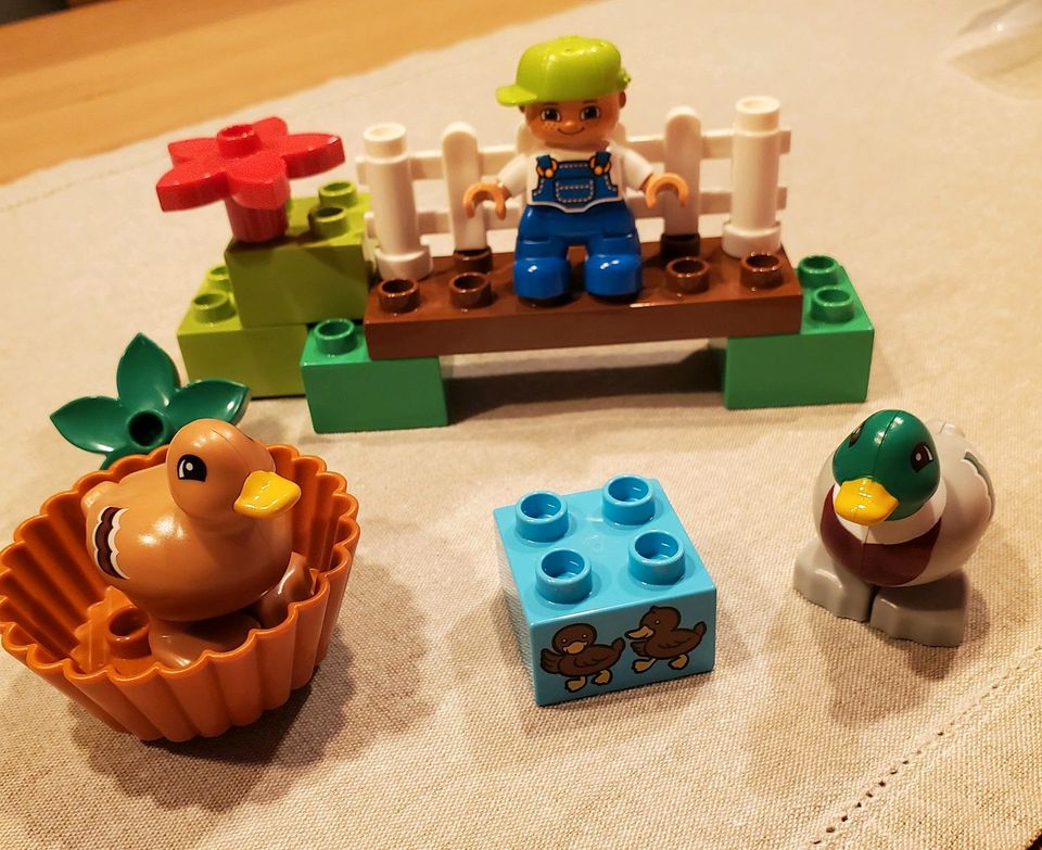 Lego Duplo Entenfütterung in Baesweiler