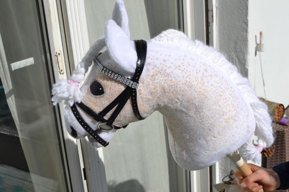 Hobby Horse zu Verkauf in Düsseldorf