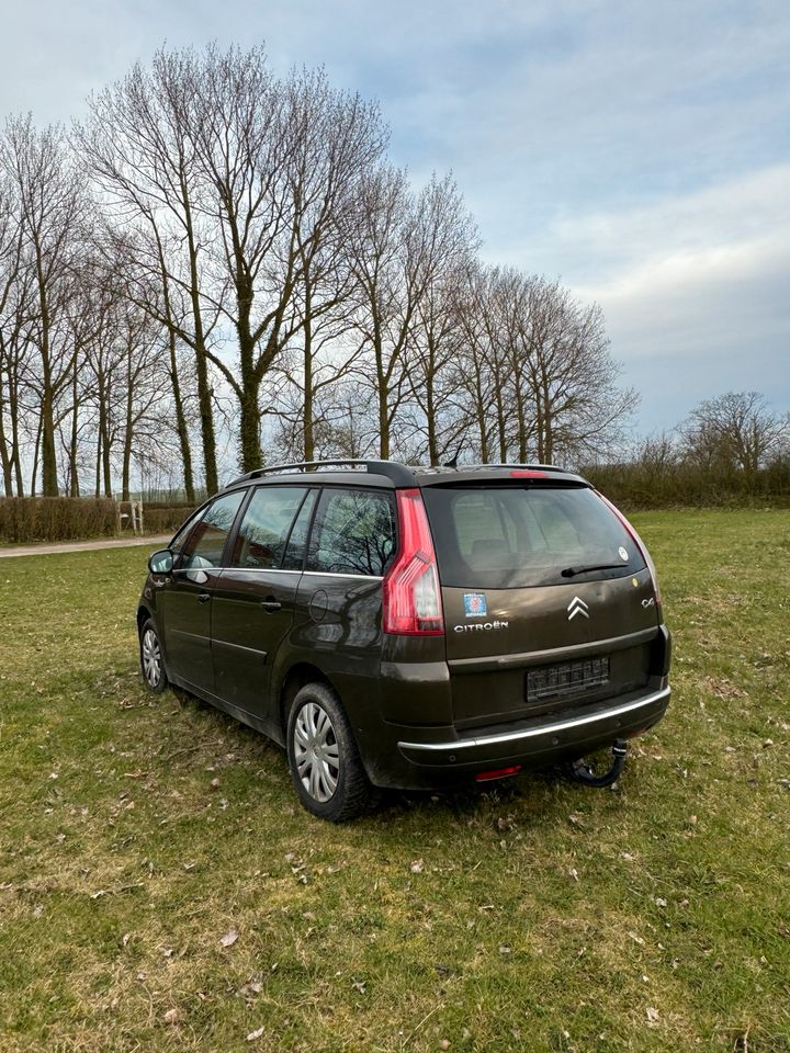 Citroën C4 Picasso in Putgarten