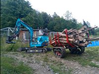 Baumfällung Fällgreifer Stehendentnahme Sachsen - Großrückerswalde Vorschau