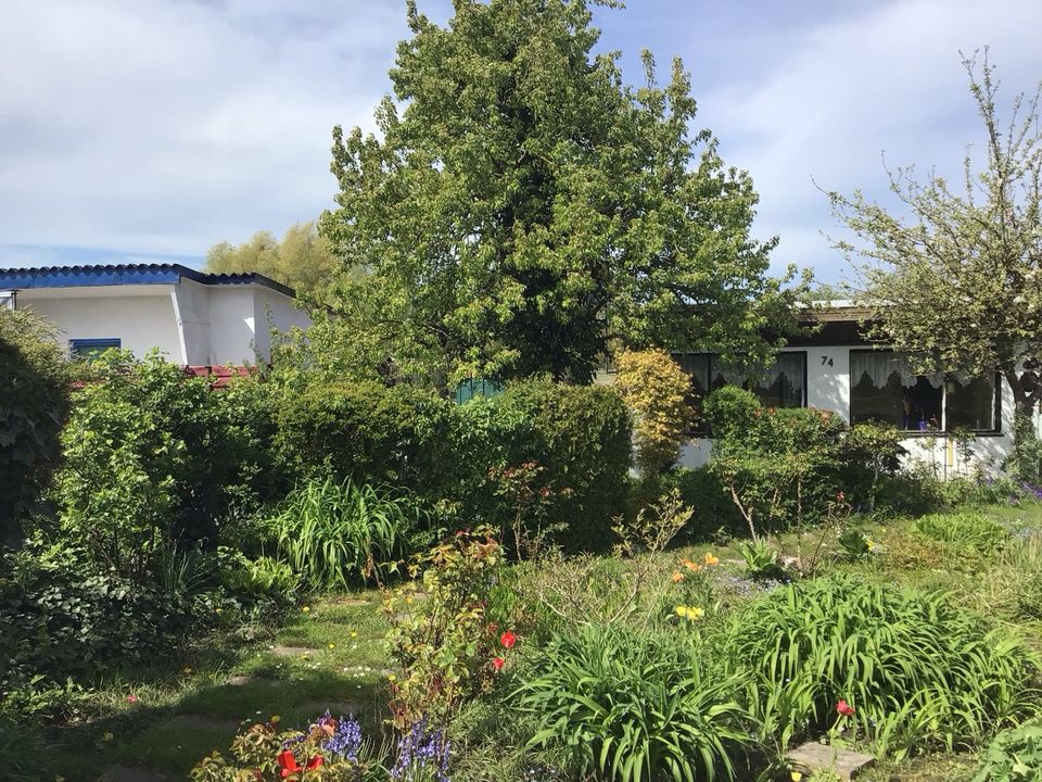 Super Super Super Knüllerpreis 3500 € Gartenhaus aus Stein. in Lambrechtshagen