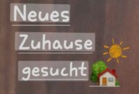 Suche Wohnung in Pivitsheide VL/VH Nordrhein-Westfalen - Detmold Vorschau