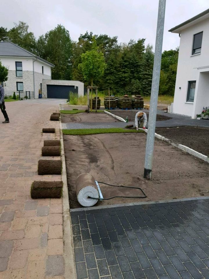 Garten/Garten-und Landschaftsbau/Gartenarbeiten/Pflasterarbeiten in Winsen (Aller)