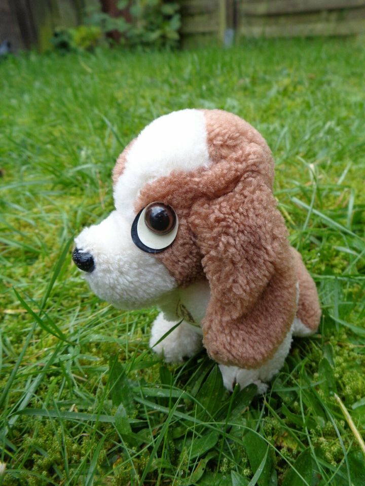 Hush puppies hotsell spaniel