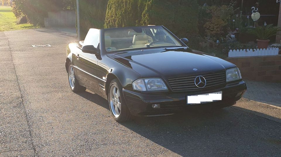 Exklusiver Mercedes Benz SL 280 R129 - Sommer-/Zweitfahrzeug in Syrgenstein