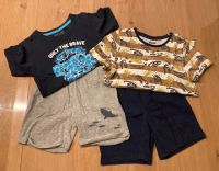 Sommer Set  ☀️ 110/116 ☀️ Dino - Hai tshirts kurze Hose Bayern - Nabburg Vorschau